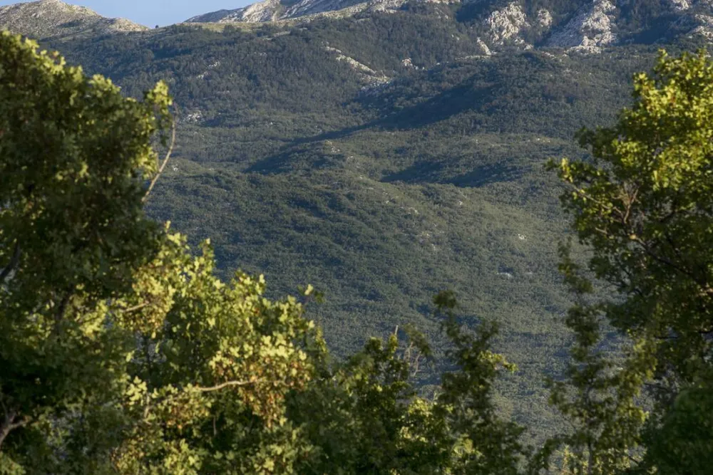 Campsite/Camper stop Biokovo, Croatia