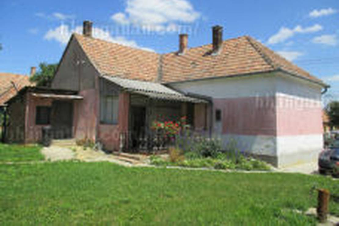 Balaton Camping photo 2