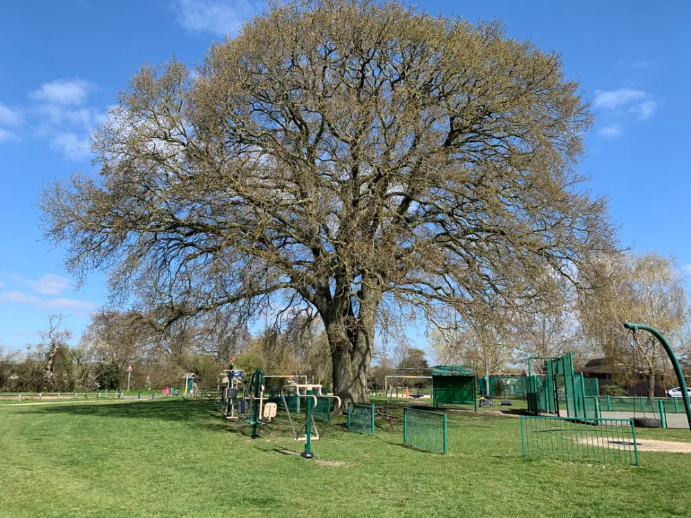 Under The Stars Camping at Chichester