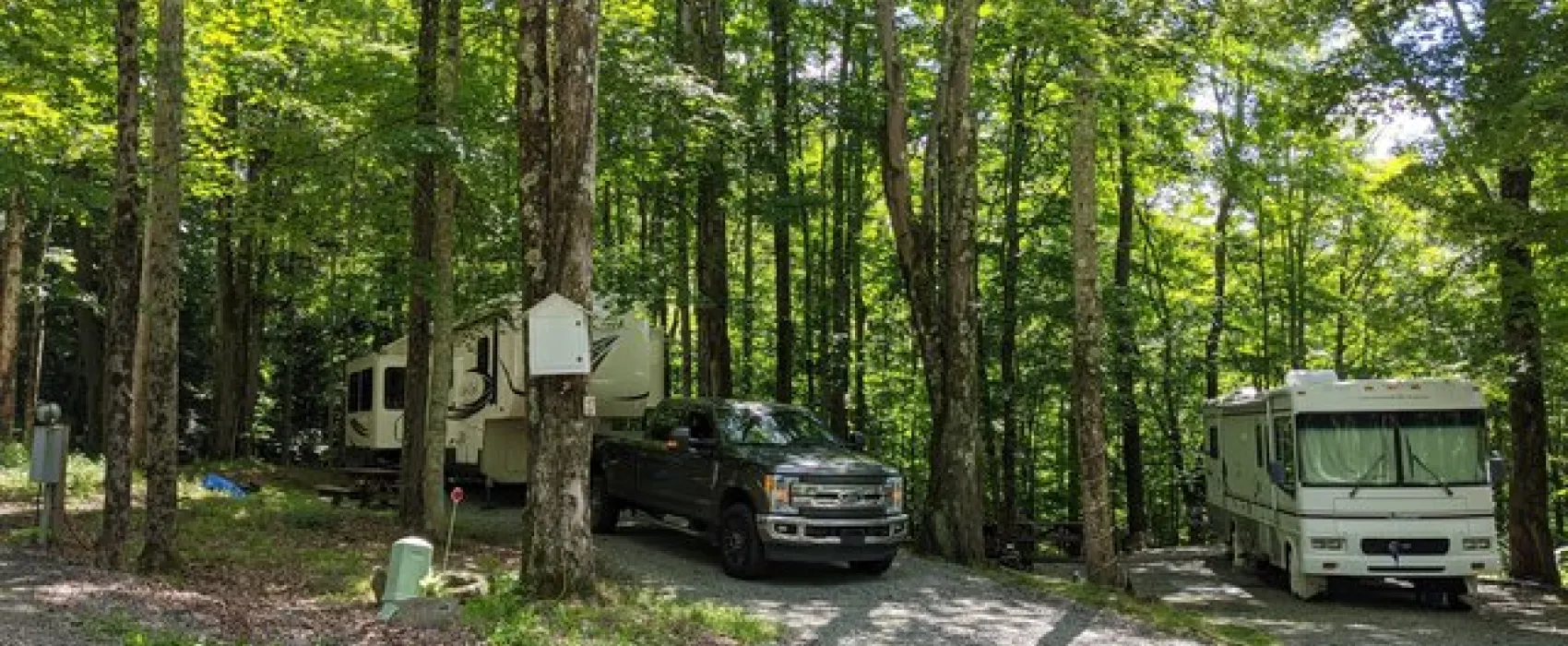 Shore Forest Campground