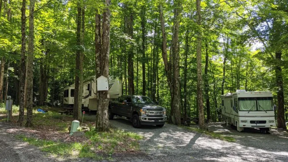 Shore Forest Campground