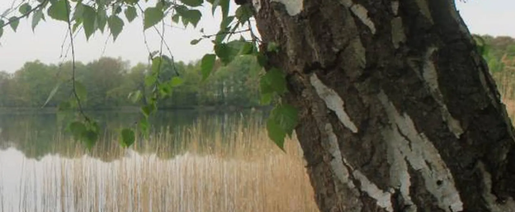 Camping Dammmühlenteich