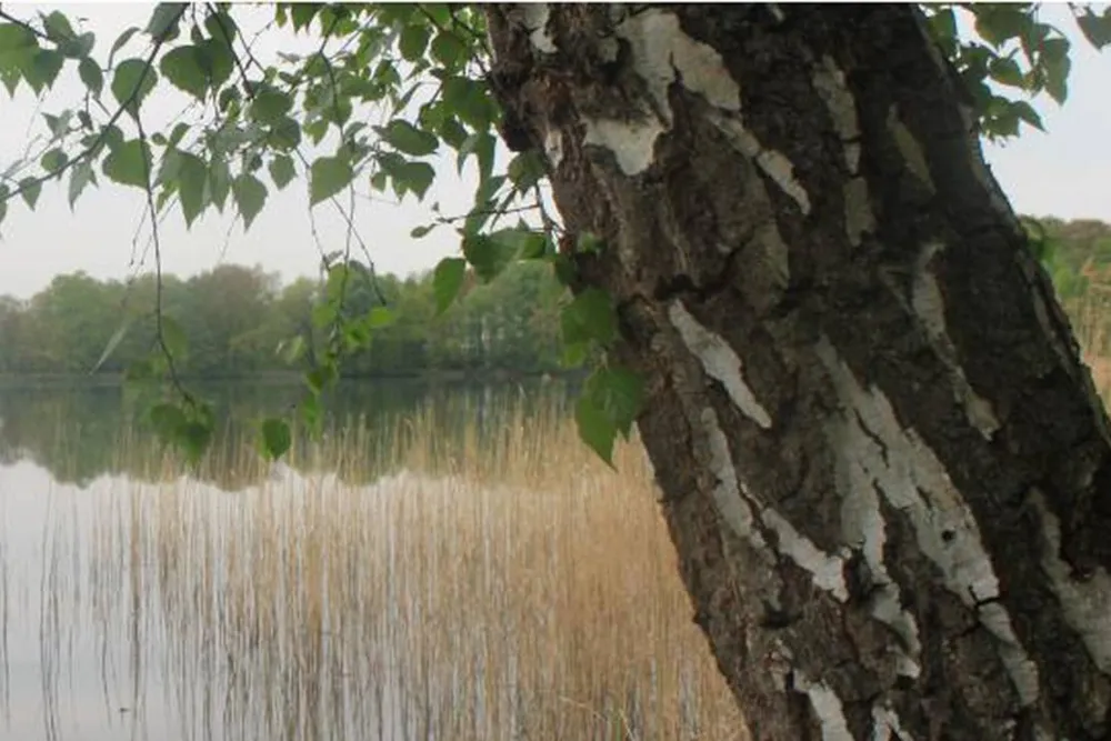 Camping Dammmühlenteich