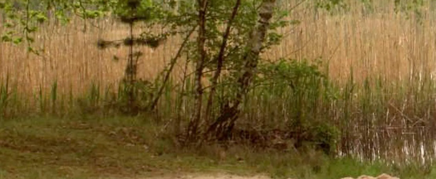 Camping Dammmühlenteich