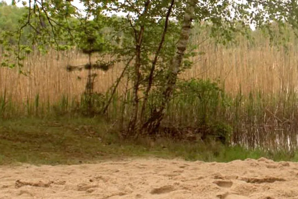 Camping Dammmühlenteich