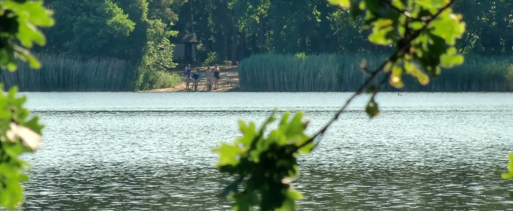 Camping Dammmühlenteich