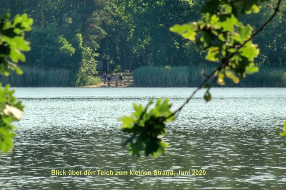 Camping Dammmühlenteich