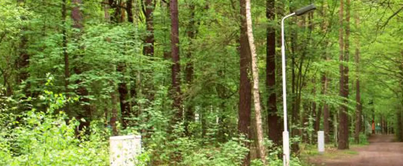 Camping Dammmühlenteich