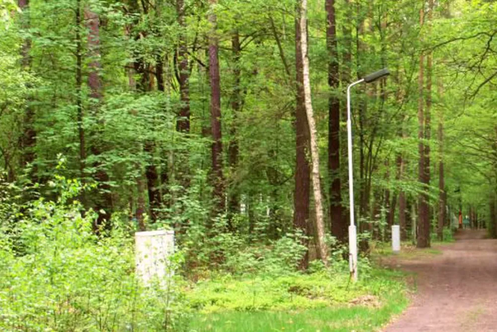 Camping Dammmühlenteich
