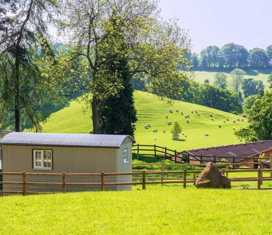 Shepherd's Crook Hut