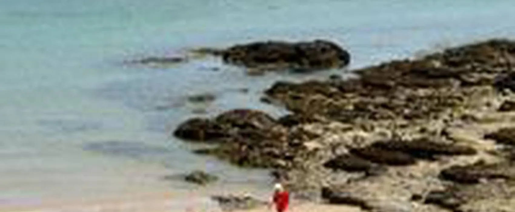 St David's Holiday Home Park