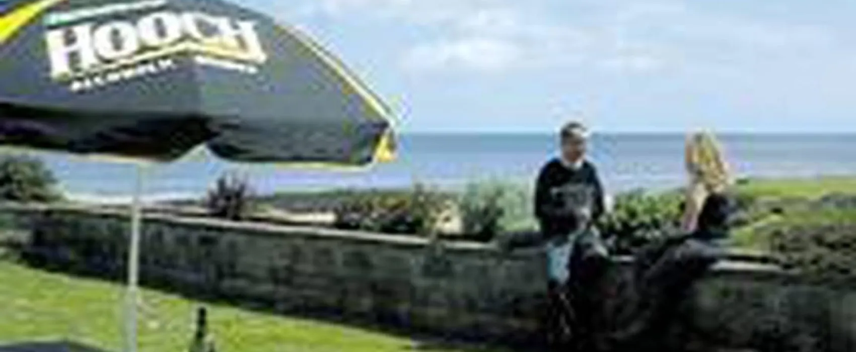 St David's Holiday Home Park