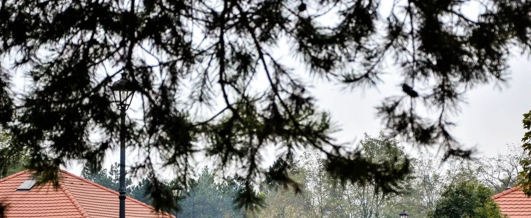 Apartmanpark és Kemping - Cegléd