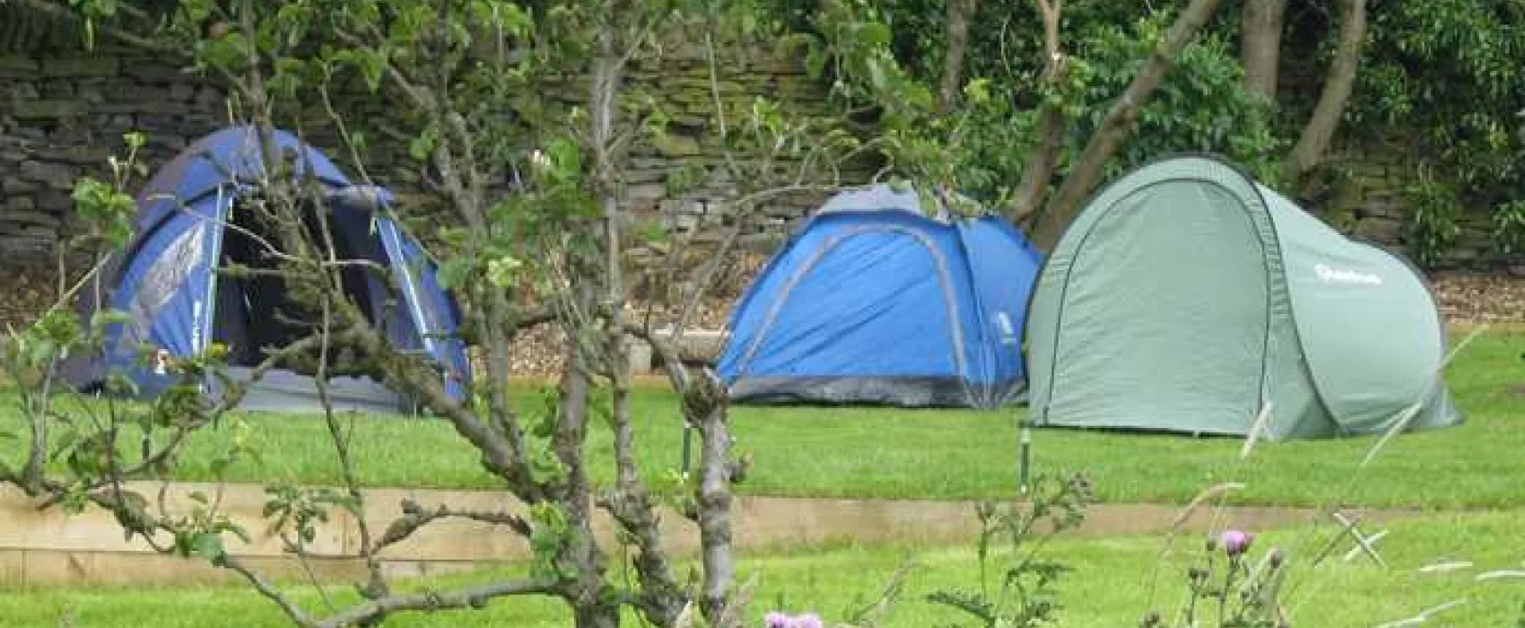 Orchard Camping
