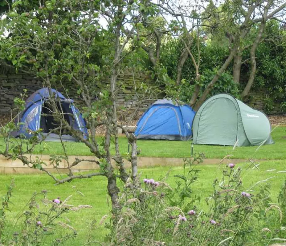 Orchard Camping