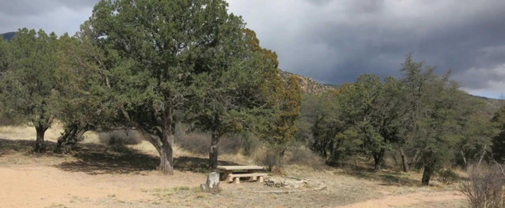 Stockton Pass Group Campground