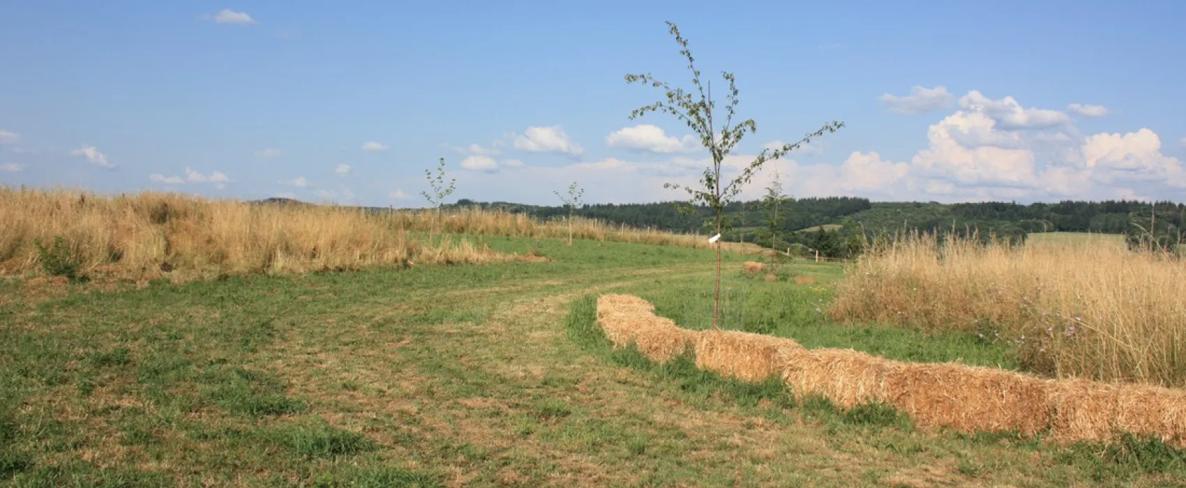 la vallée des fruits
