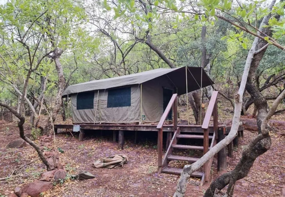 Bush Tent @ Waterfall