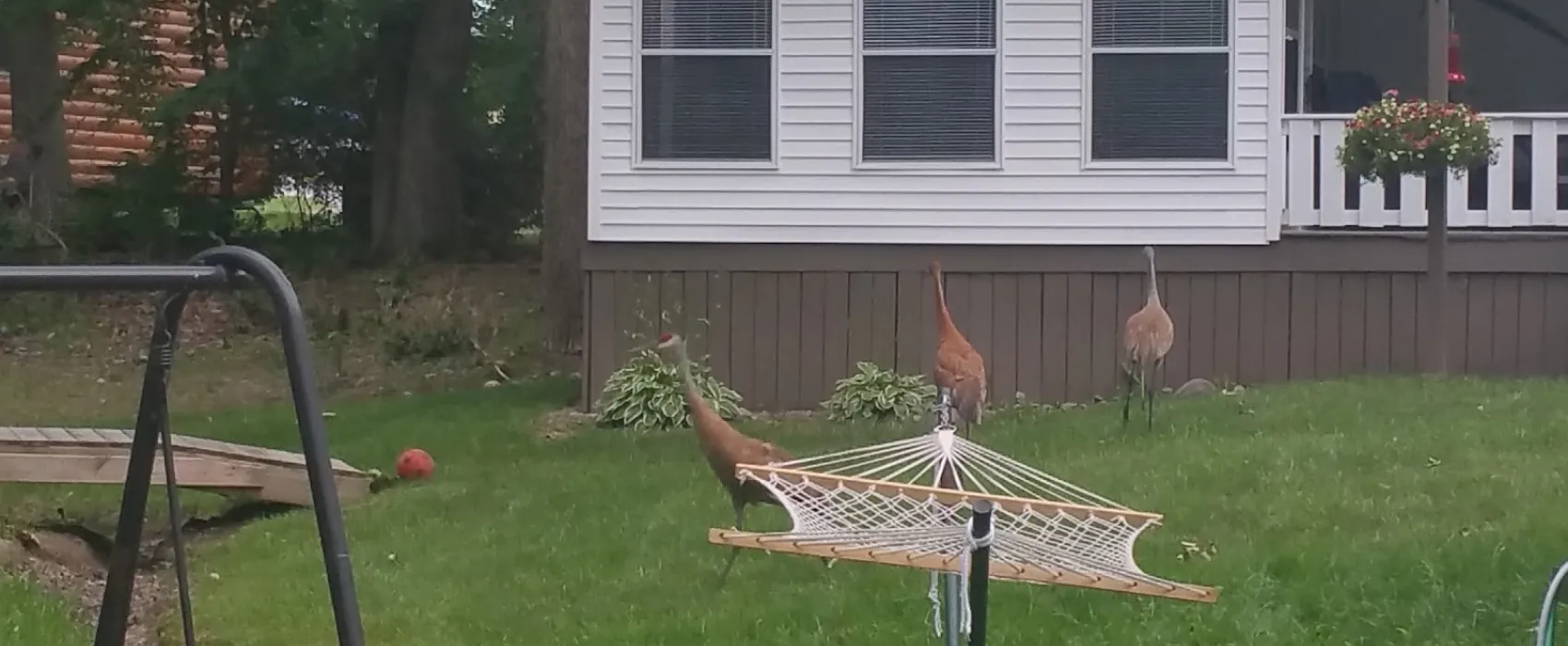 Pic-A-Spot Campground