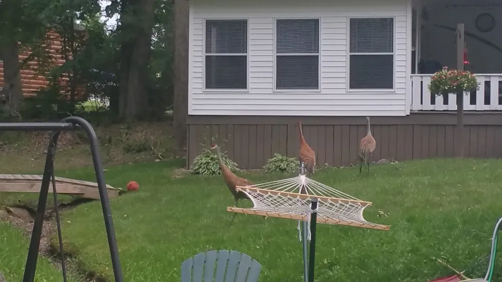 Pic-A-Spot Campground