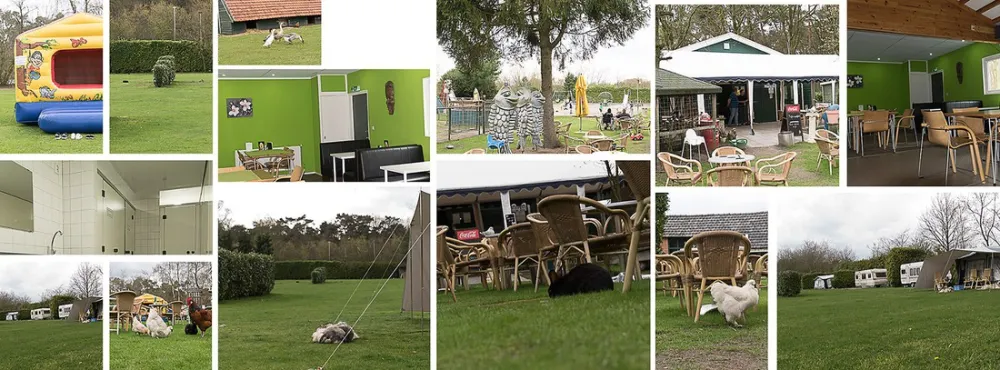 Minicamping De Nieuwe Drenck