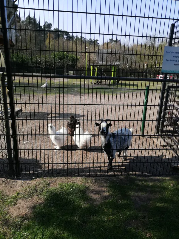 Minicamping De Nieuwe Drenck