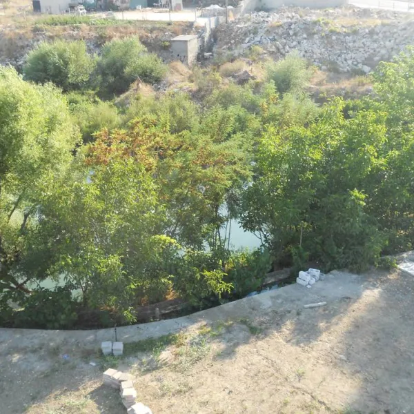 Camping Riverside