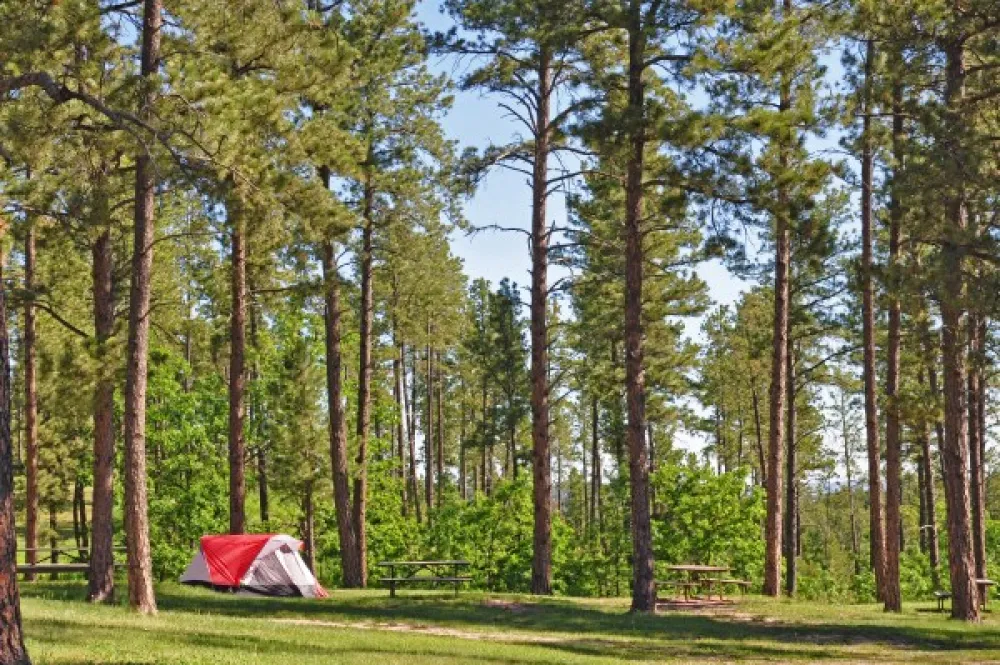 Rushmore Shadows Resort