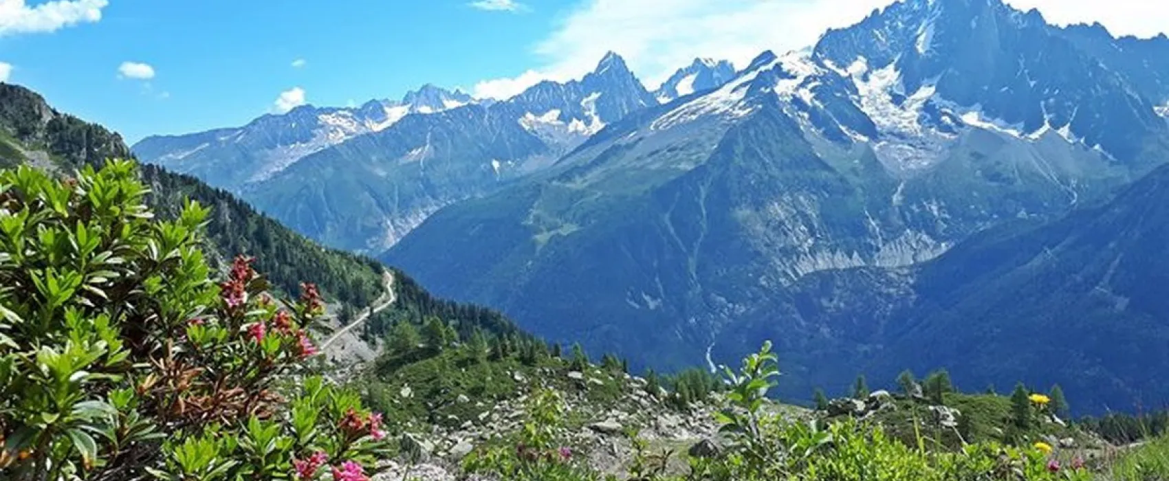 Les Dômes de Miage - Nature & Lodge