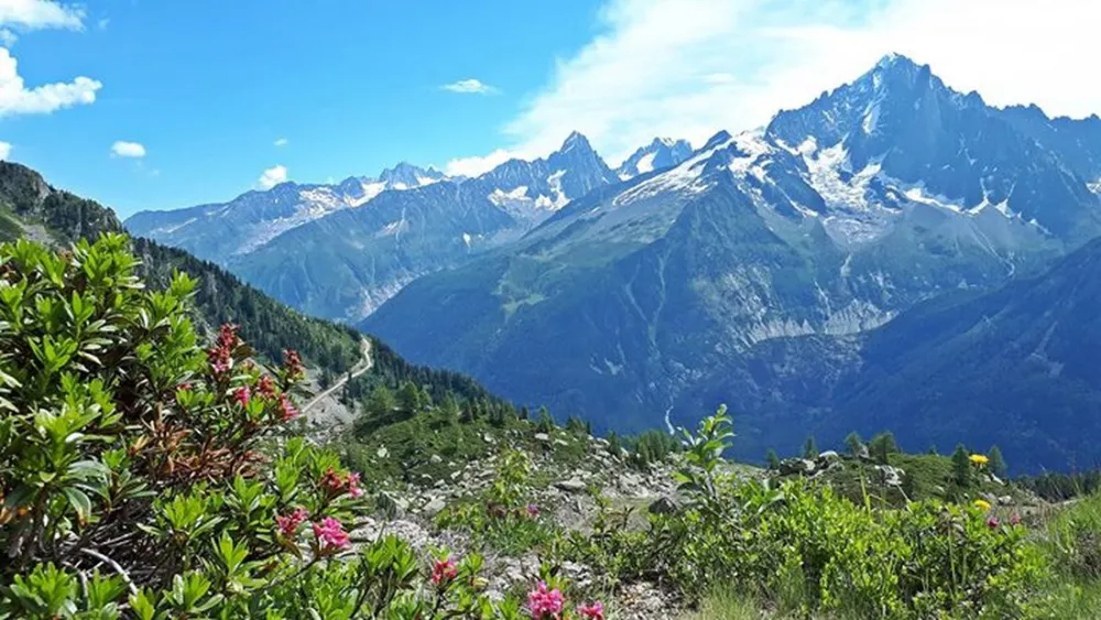 Les Dômes de Miage - Nature & Lodge