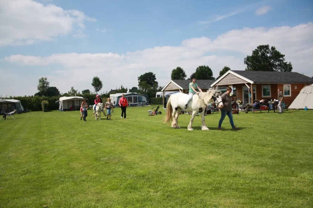 Minicamping De Boskeelen