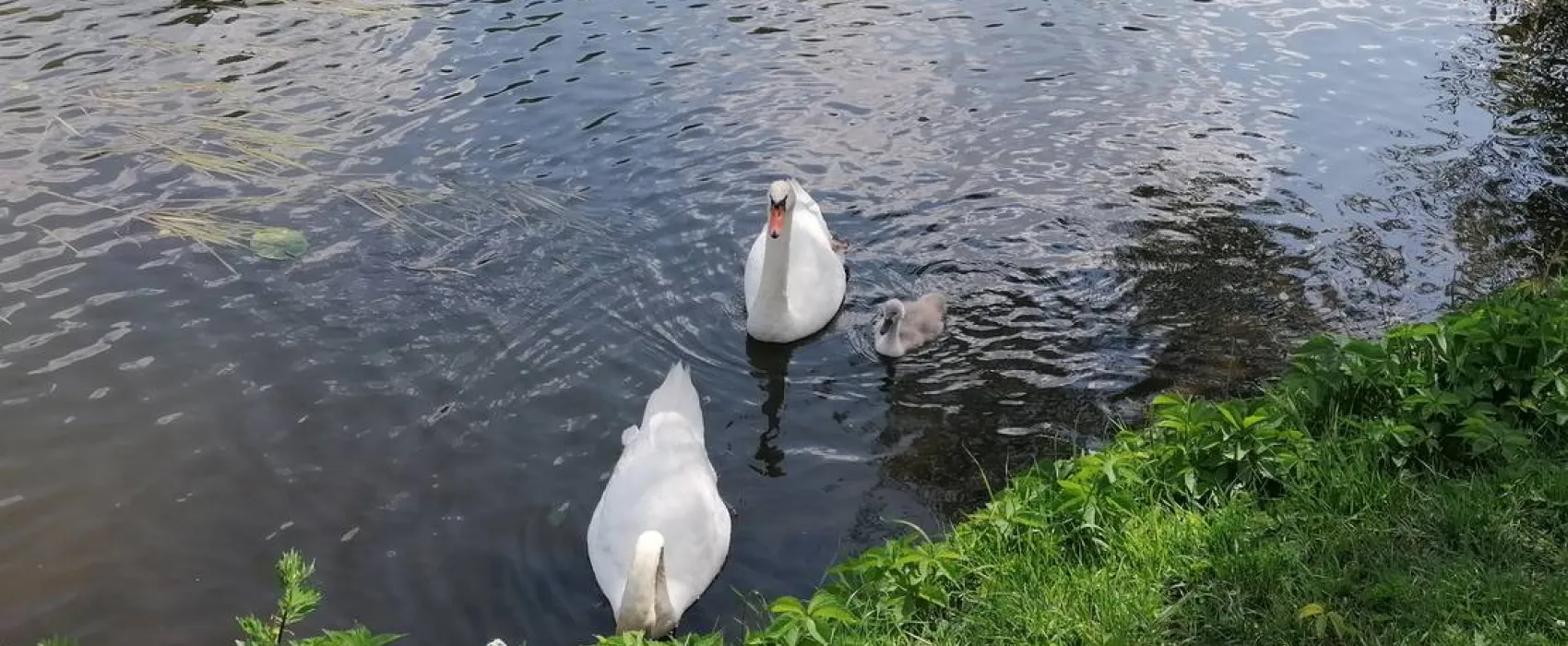 Camping & Beachclub Fachbach an der Lahn