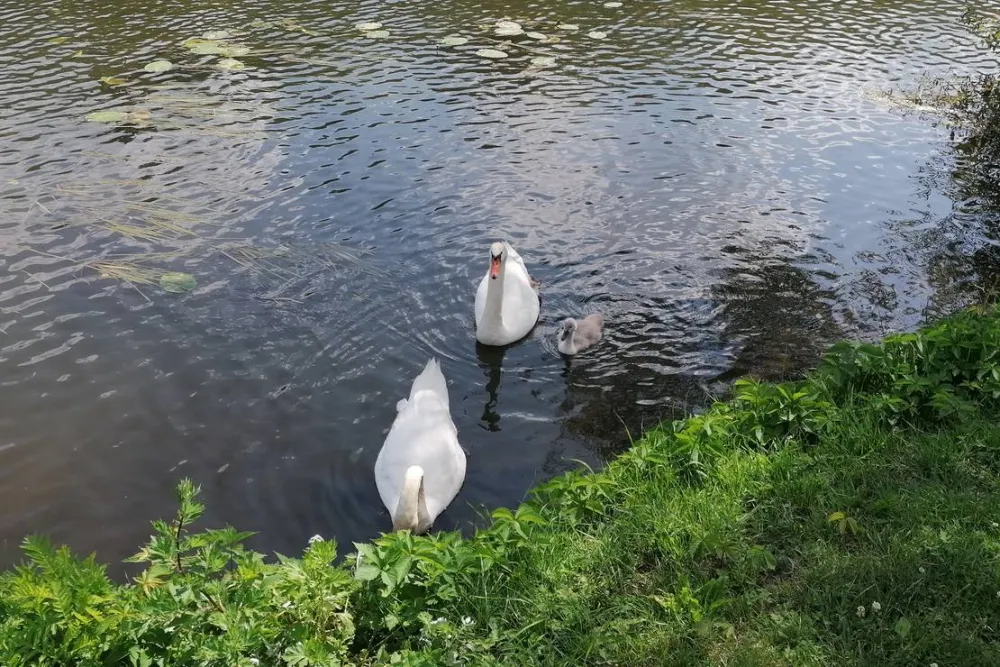 Camping & Beachclub Fachbach an der Lahn