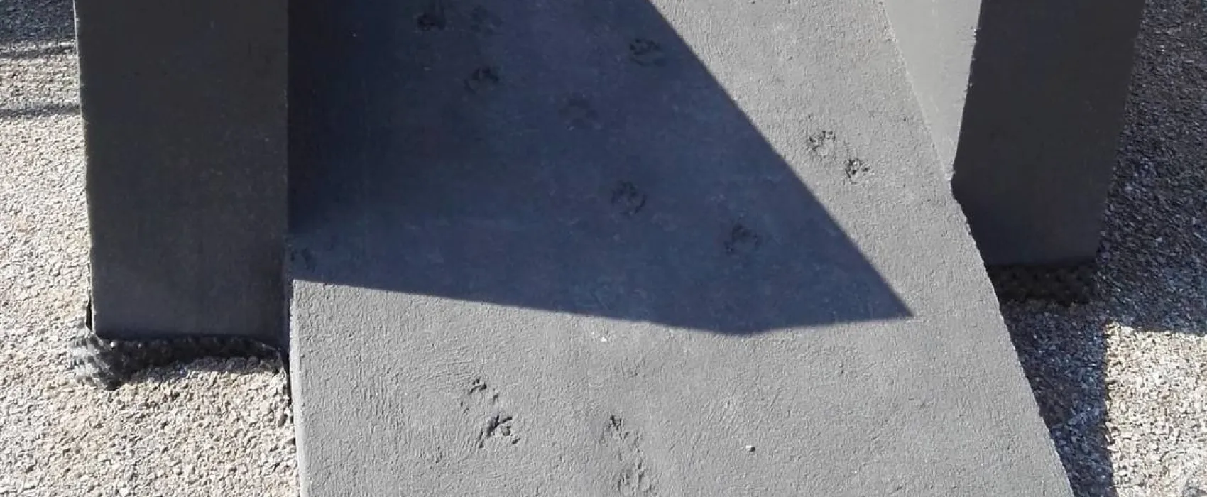 Camping & Beachclub Fachbach an der Lahn