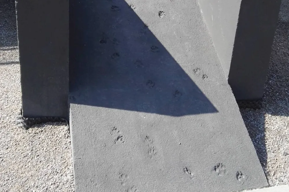 Camping & Beachclub Fachbach an der Lahn