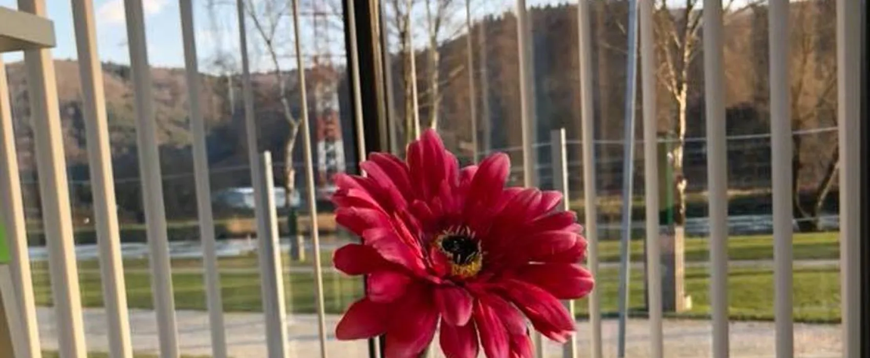 Camping & Beachclub Fachbach an der Lahn