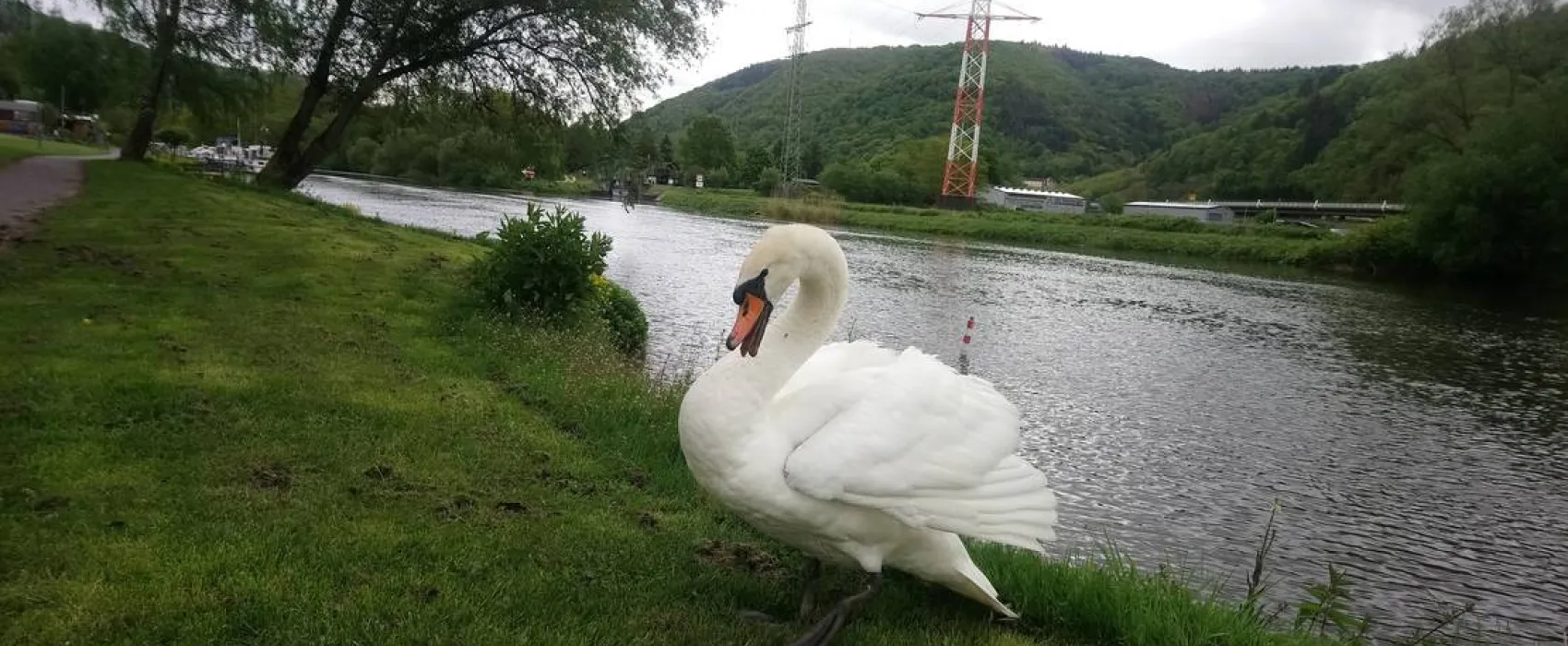 Camping & Beachclub Fachbach an der Lahn