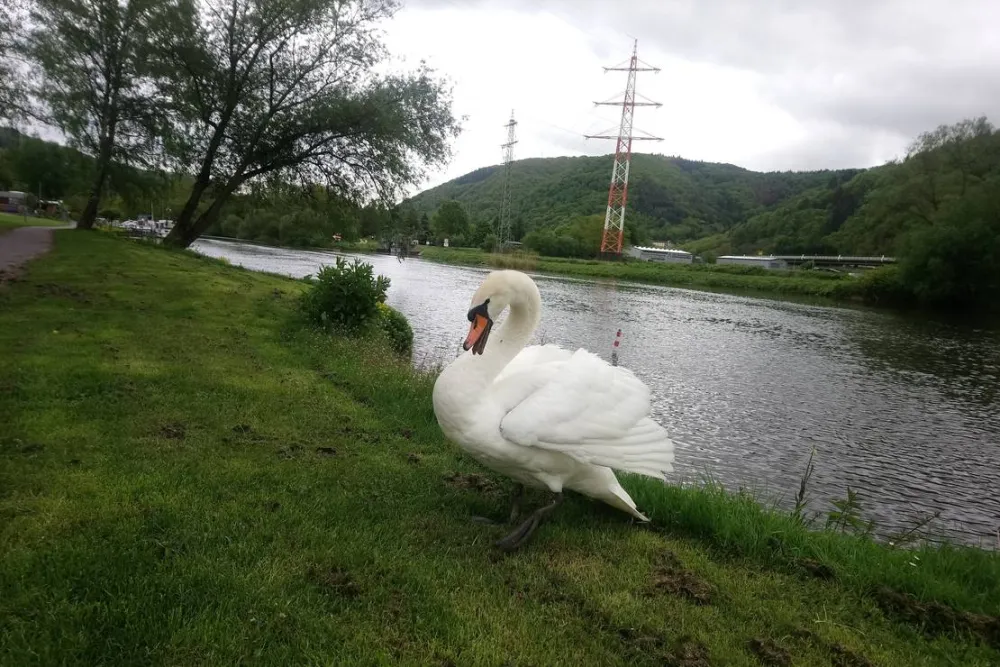 Camping & Beachclub Fachbach an der Lahn