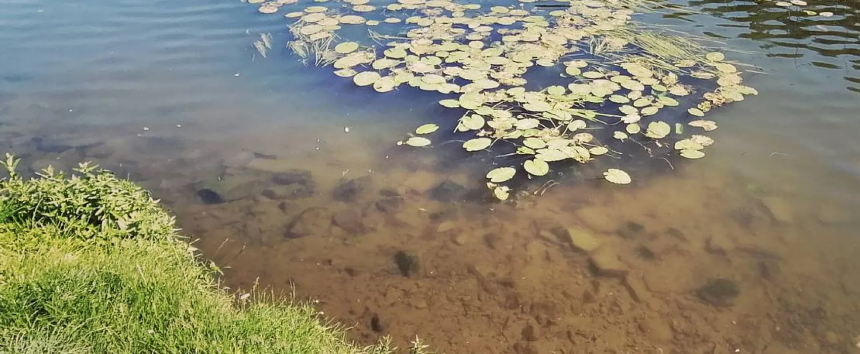 Camping & Beachclub Fachbach an der Lahn