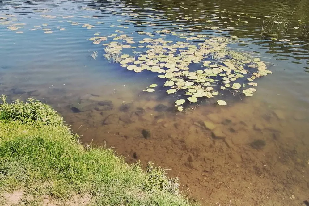 Camping & Beachclub Fachbach an der Lahn