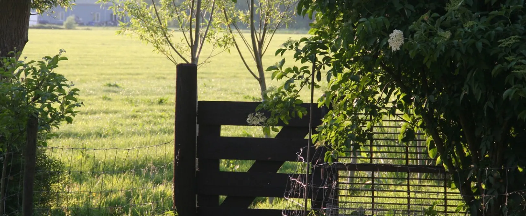 Minicamping 't Achterom