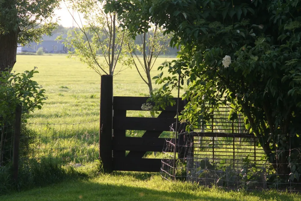 Minicamping 't Achterom