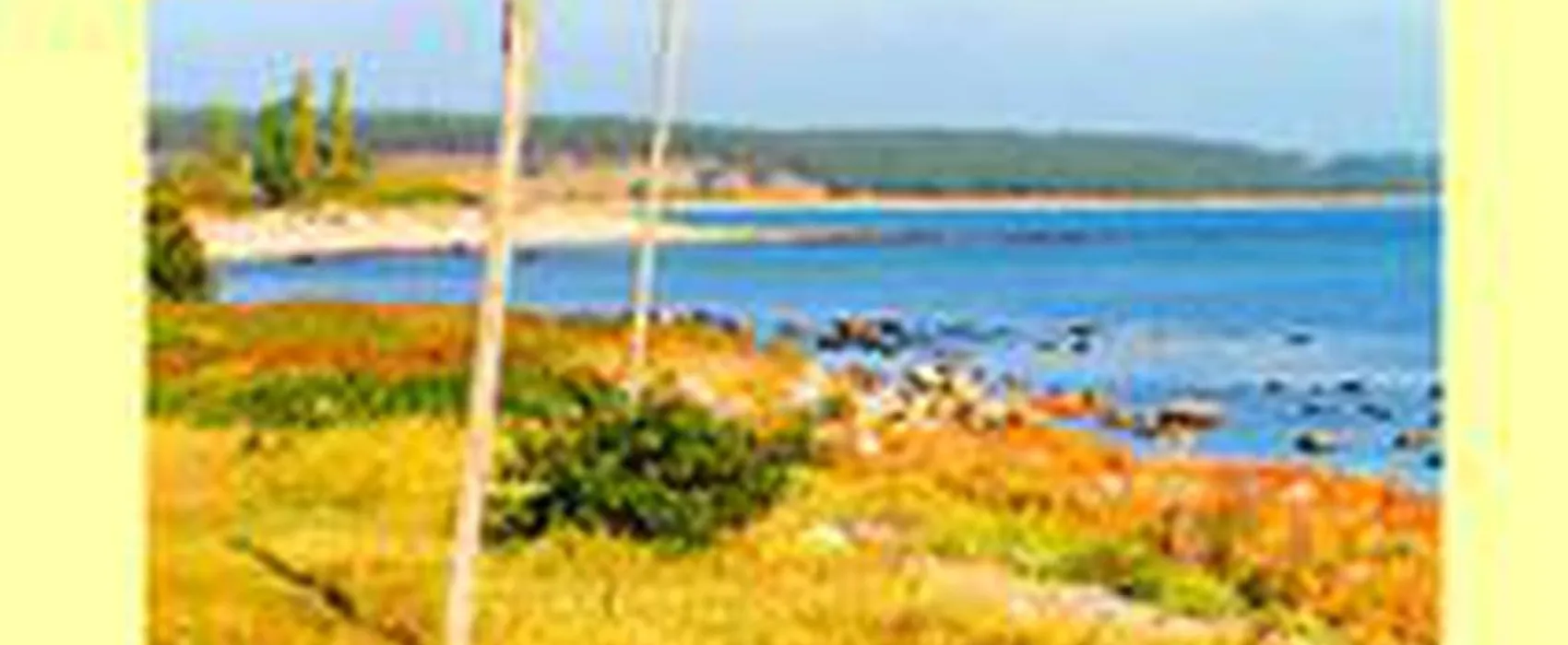 Kiviks Familjecamping