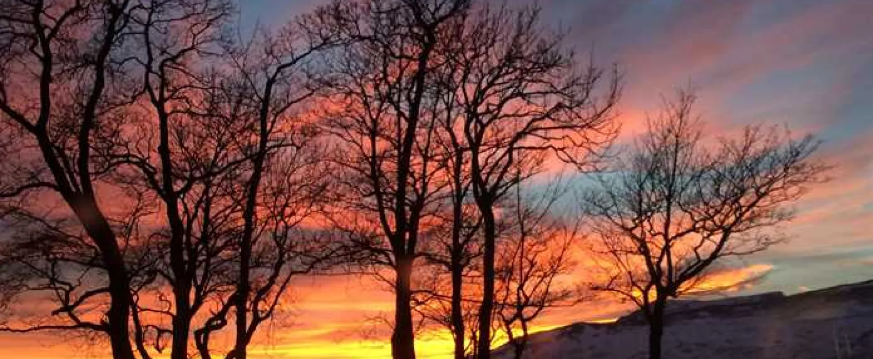 Near Howe Certificated Location