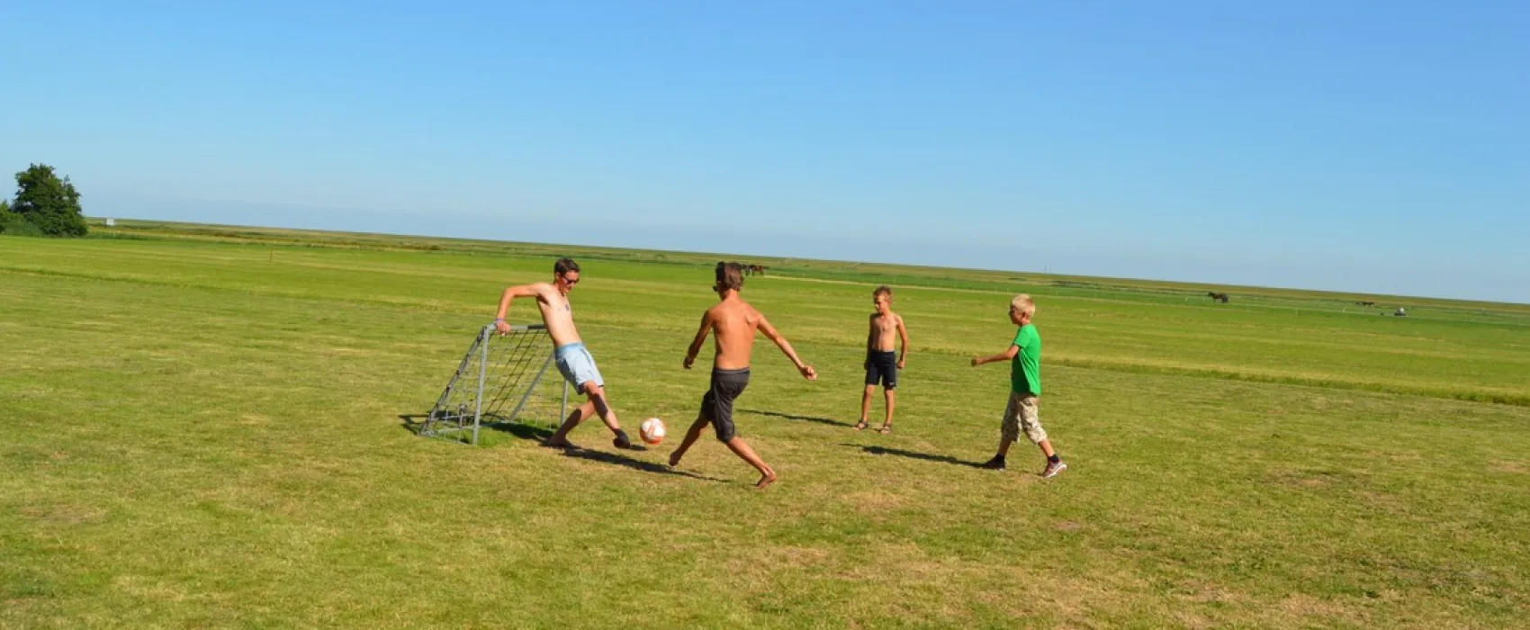 Landzicht (vak.boerderij)