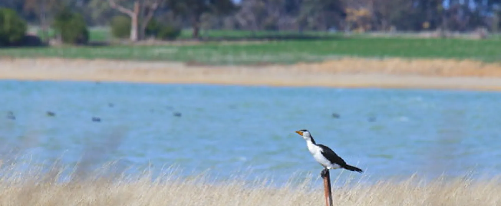 Greens Lake Campground