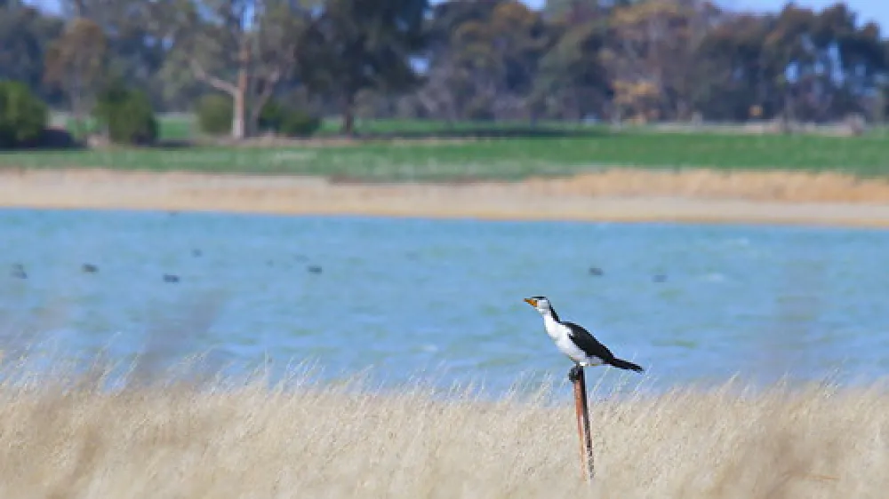Greens Lake Campground