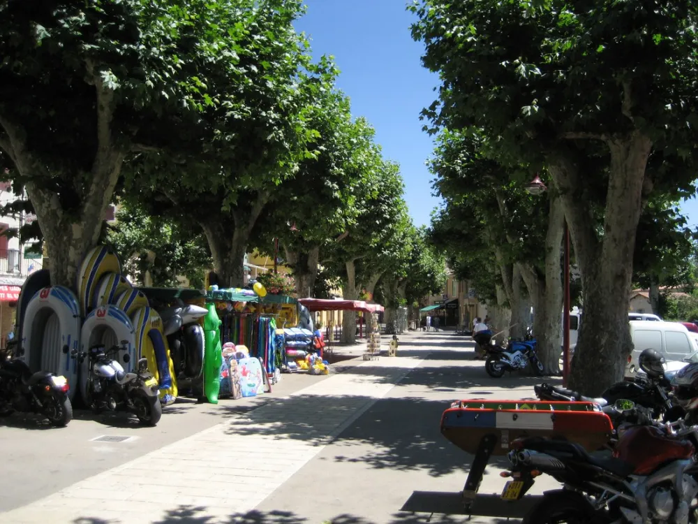 Municipal Les Roches