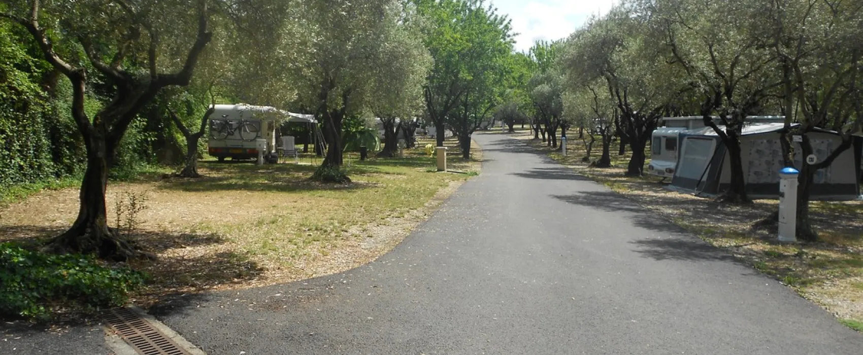 Municipal Les Roches