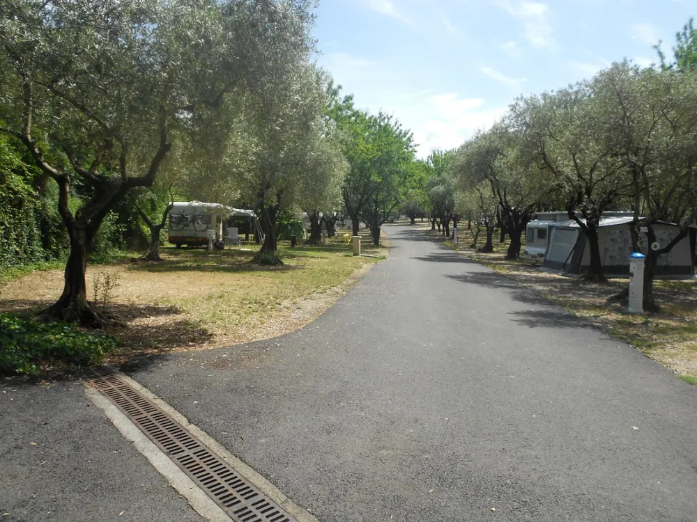 Municipal Les Roches